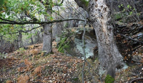 Emigrante morre após queda