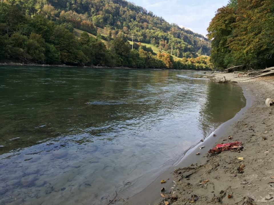 Casal português de Aargau acusado de crueldade sobre animais e de falsos testemunhos