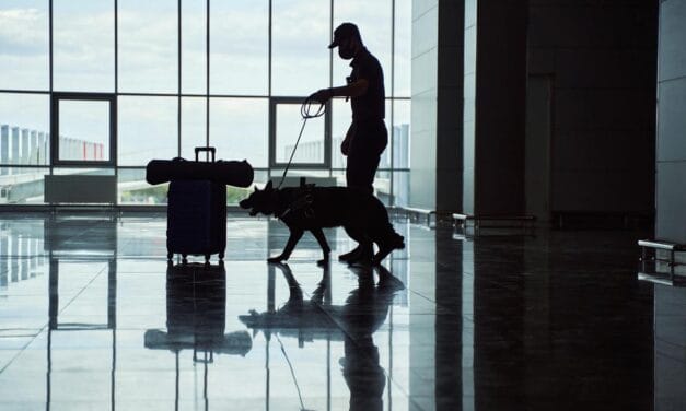 Genebra: Português apanhado no aeroporto com 100 cápsulas de cocaína