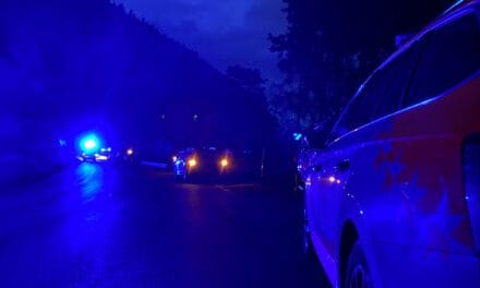 Emigrante português morre em acidente de viação