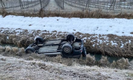 Emigrante português de 53 anos morre em acidente de viação