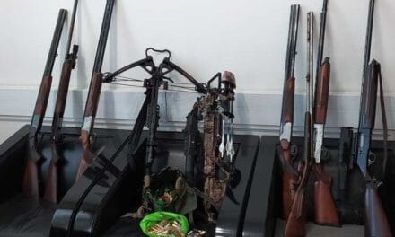 Suspeito de violência doméstica fugiu para a Suíça com a vítima