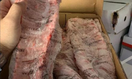 Mais de três toneladas de carne apreendidas