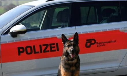 Trabalhador português esfaqueia colega eslovaco