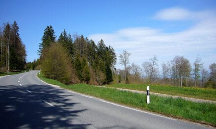 Motociclista português perde a vida após despiste em Mont-la-Ville