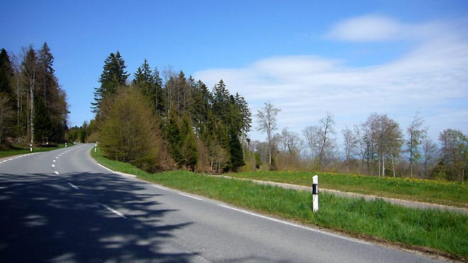 Motociclista português perde a vida após despiste em Mont-la-Ville