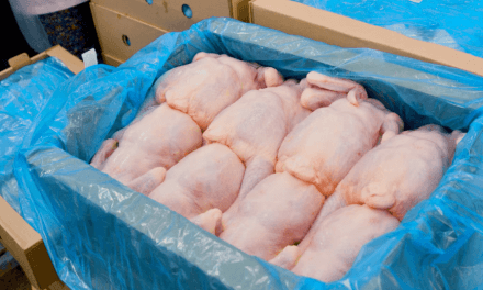 Português intercetado a entregar frangos congelados sem camião frigorífico