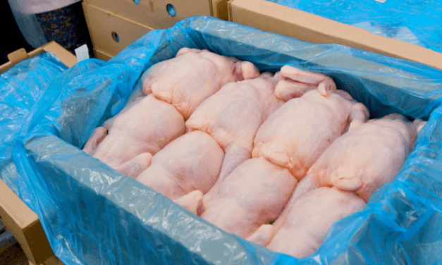 Português intercetado a entregar frangos congelados sem camião frigorífico