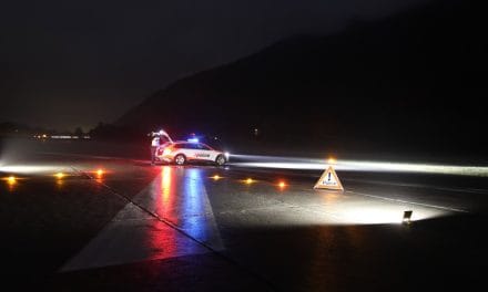 Dois portugueses detidos por furto com arrombamento