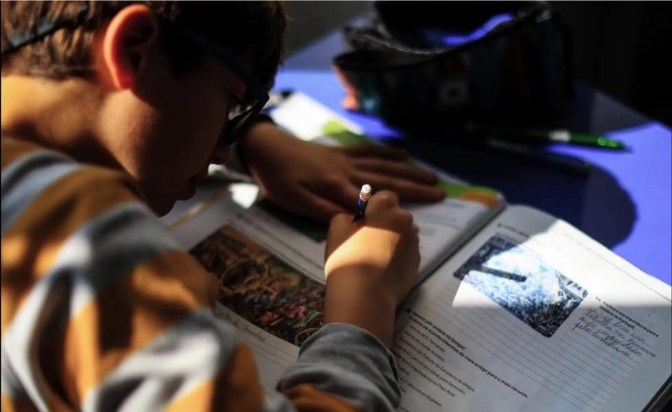 Ensino do português no estrangeiro: professores contestam reforma e temem instabilidade