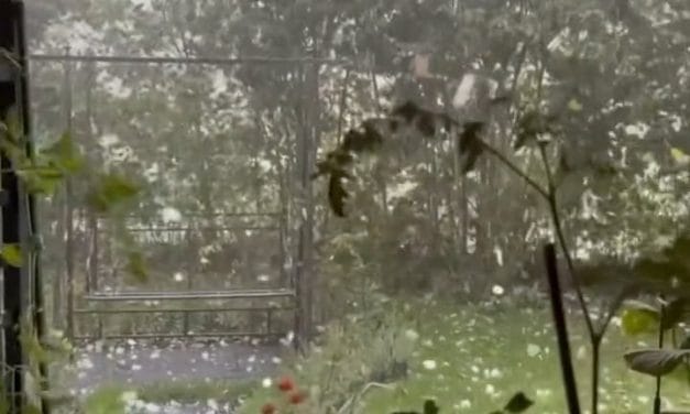 Granizo do tamanho de bolas de ténis no norte da Suíça