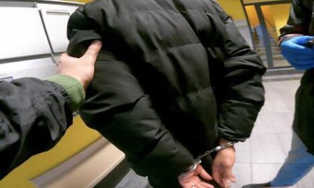 Ter um filho com uma cidadã suíça não impede, por si só, a expulsão de um cidadão português